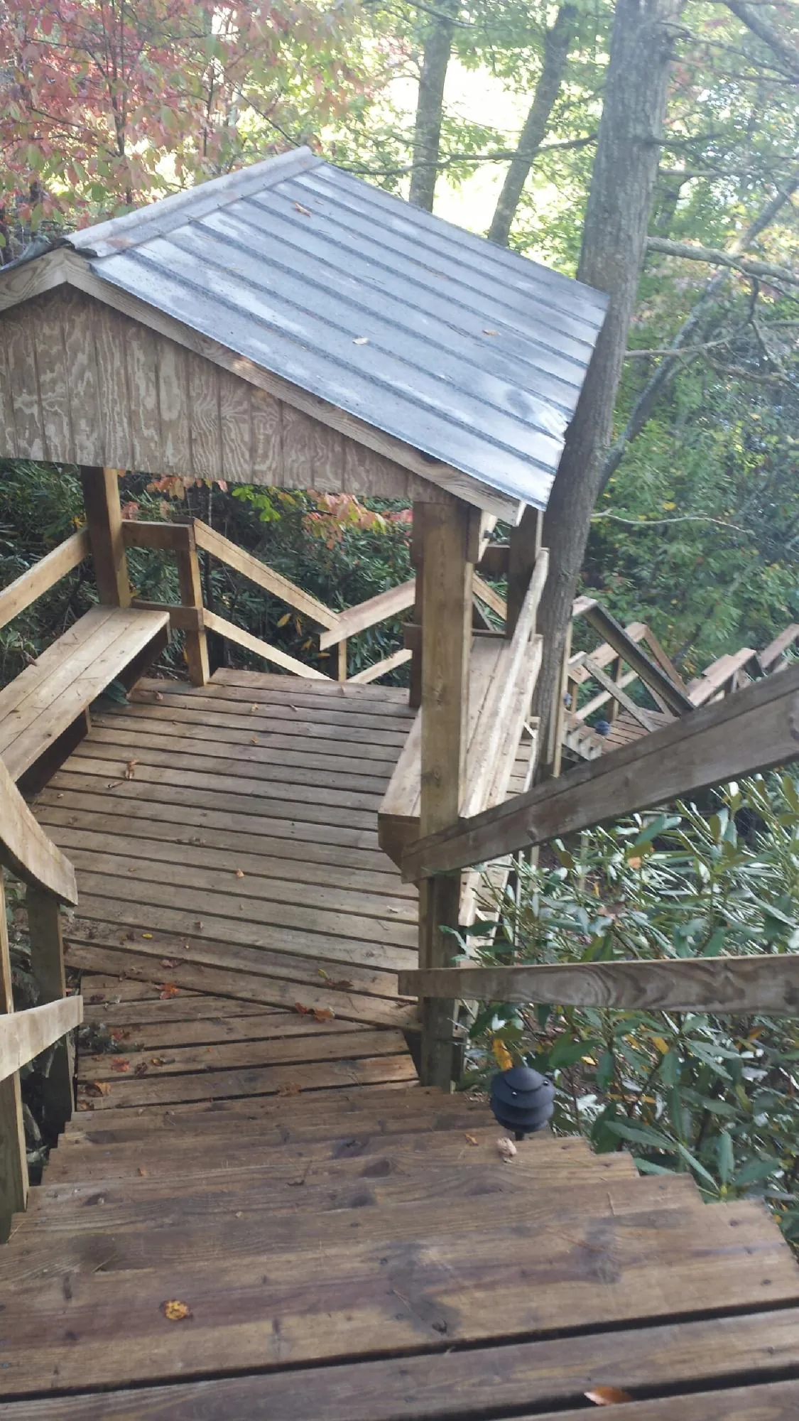 Metal roofed shelter over wooden steps on a wooded walkway — Skylight Repair & Installation work by our crew in Mingo
